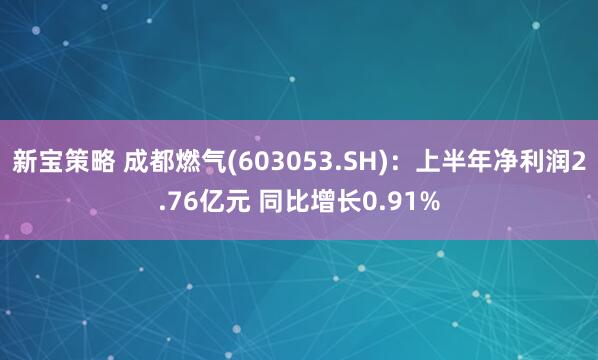 新宝策略 成都燃气(603053.SH)：上半年净利润2.76亿元 同比增长0.91%