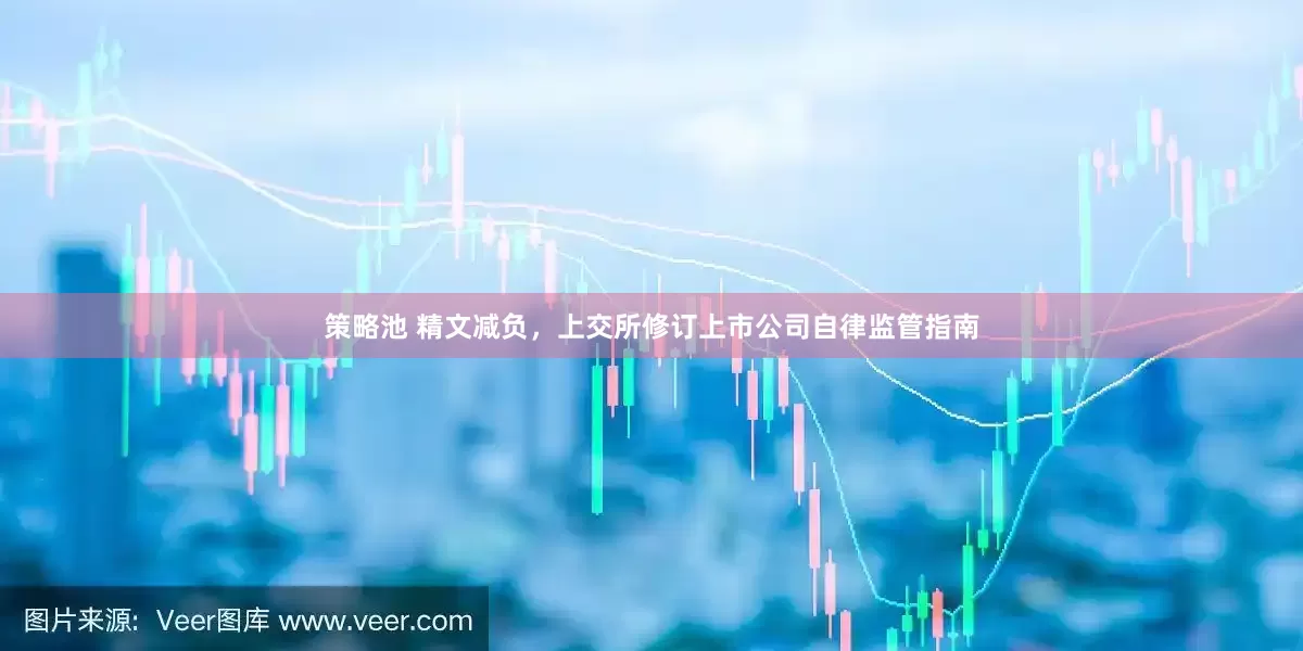 策略池 精文减负，上交所修订上市公司自律监管指南