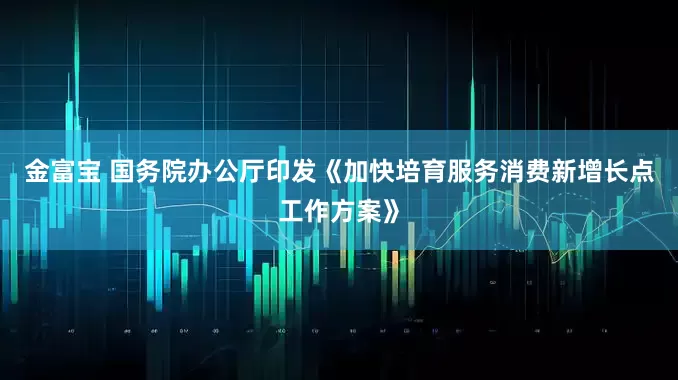 金富宝 国务院办公厅印发《加快培育服务消费新增长点工作方案》